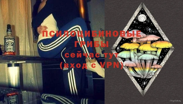 шишки Куйбышев