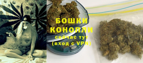 шишки Куйбышев