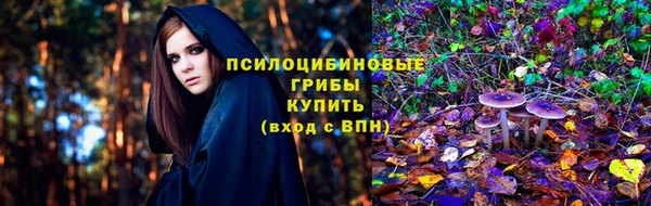 Альфа ПВП Кукмор