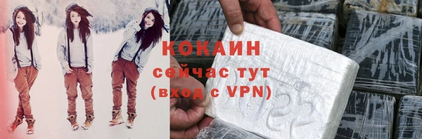 шишки Куйбышев