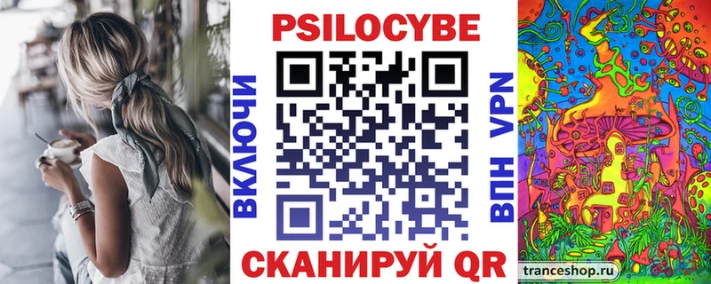 Купить  Кондрово  Галлюциногенные грибы Psilocybe 